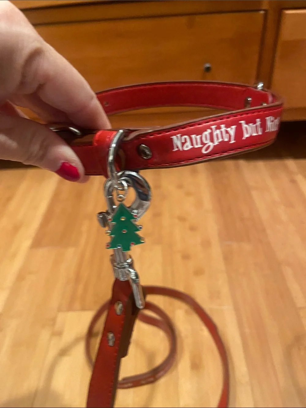 Small Dog Collar